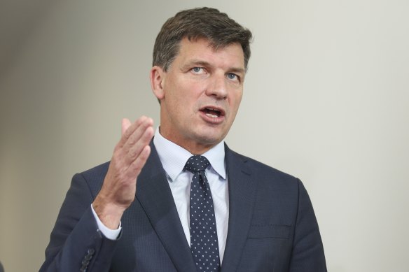 Federal Energy and Emissions Reduction Minister Angus Taylor says Australia has enough supply of AdBlue to meet five weeks of “business as usual” demand,