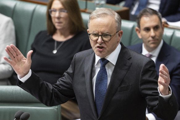 Prime Minister Anthony Albanese in question time today.