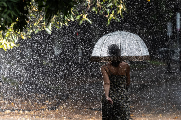 A woman braves the rain to walk in the Royal Botanic Gardens on Wednesday.