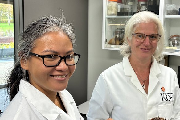 A coordenadora de conservação, Dra. Aisyah Faruk (à esquerda), e a Dra. Elinor Breman no Millennium Seed Bank.