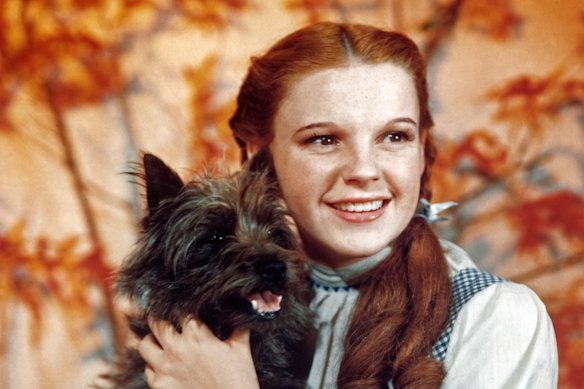 Judy Garland as Dorothy in The Wizard of Oz in 1939.