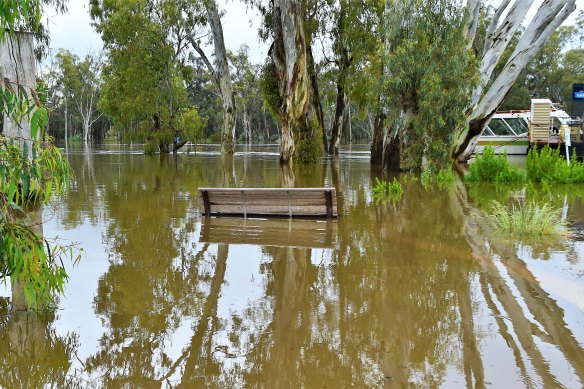 Murray River flooding in Echuca.