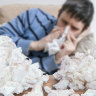 WA's record flu season claims another seven lives in seven days