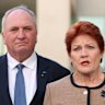Member for New England Barnaby Joyce and One Nation leader Pauline Hanson during a press conference at Parliament Hou...