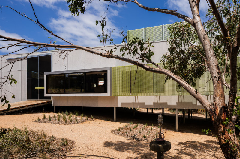 Shell art got a shellacking. Now it makes an architectural comeback in this beach house design