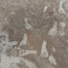 Pollen count helps prove humans left footprints in the Americas much earlier than believed