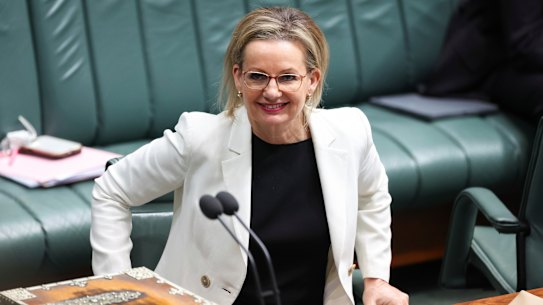 Sussan Ley at Parliament House on Wednesday.