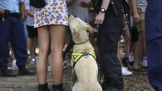 Data reveals drug detection dogs are incorrectly sense drugs 75 per cent of the time. 