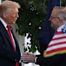 The deal signed by Donald Trump and Anthony Albanese renewed the attention on rare earths stocks.