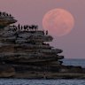 Crowds gather at North Bondi’s Ben Buckler Point to watch the Beaver supermoon rise on Wednesday night.