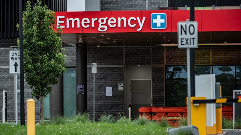 Revealed: The Sydney hospital where one in 10 patients wait more than 43 hours for a bed