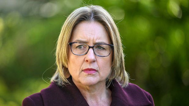 Victorian Premier Jacinta Allan said she strongly disagrees with James Packer’s character assessment of Daniel Andrews.