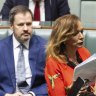 Nationals whip calls for Gaza ceasefire as Labor ministers accuse Israel of collective punishment