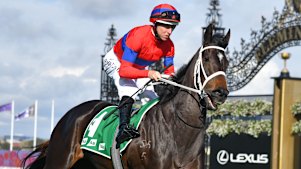 Cox plate 2021 marquee tickets