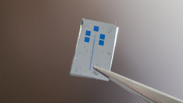 The ANU team’s semiconducting material, which cannot be seen with the naked eye, sits in between gold electrodes on the chip.
