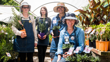 Cool Country Natives manager Tegan Redman with staff members Natalie Mace, Carolina Bastos and Bronwyn Blake with ‘White Hot’ pigface plants and other edible bush tucker.
