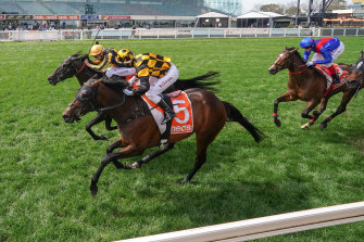 Favourite Zaaki finishes third behind Probabeel and Nonconformist in the Might And Power Stakes at Caulfield on Saturday.