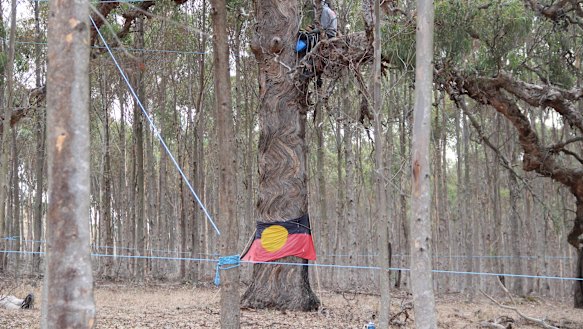 Protesters at the site of the Western Highway duplication project.
