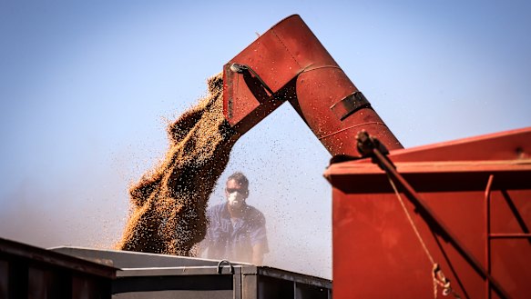 China could soon target imports of Australian wheat, after already turning its attention to barley, wine, cotton and beef, have rattled the market. 