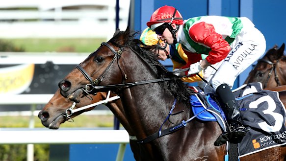 Rebel Shadow is out of Gary Portelli’s former top-liner Rebel Dane, seen here winning at Randwick in 2015.