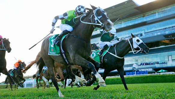 Nash Rawiller pilots Mister Sea Wolf to victory in the Chelmsford Stakes.