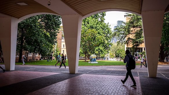 Universities have increasingly come to rely on fees from international students.