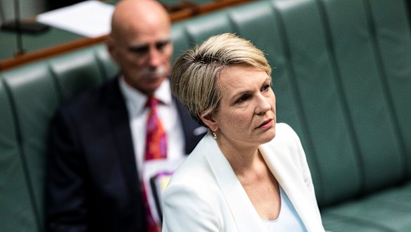 Labor spokeswoman for education and training, Tanya Plibersek.