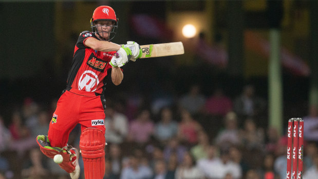 Sam Harper of the Renegades batting during the Big Bash League Match between the Sydney Sixers and the Melbourne Renegades on Wednesday. 