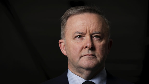 Labor leader Anthony Albanese has endorsed a move to examine increasing unemployment benefits.