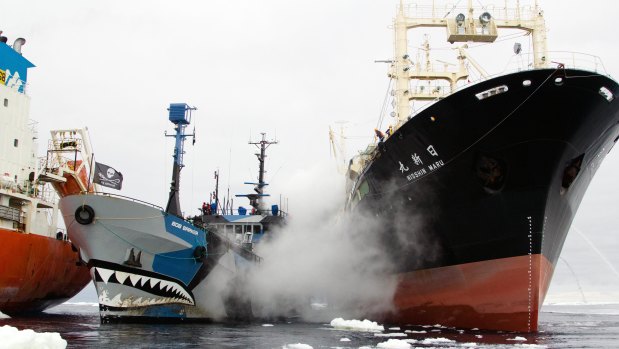 The Sea Shepherd vessel Bob Barker is sandwiched between two Japanese whaling ships.