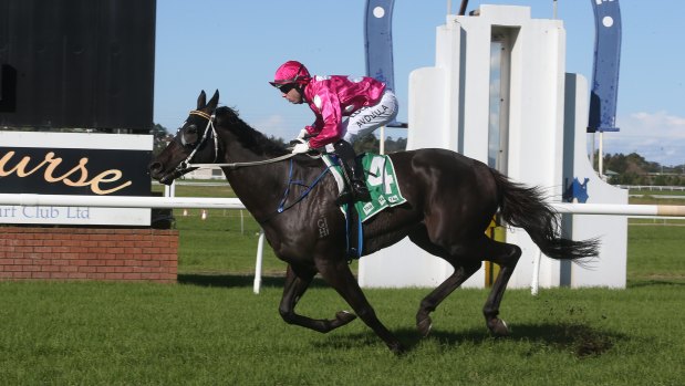 Steamin' is among the fancies in the sixth at Dubbo on Friday.