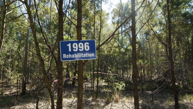 Rehabilitation efforts at a former open cut mine in the Hunter Valley.