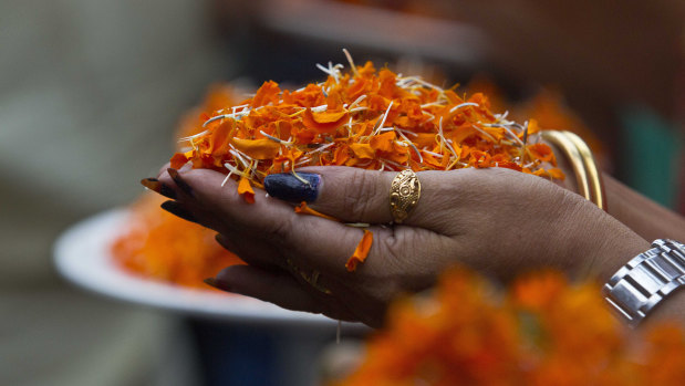 A Bharatiya Janata Party supporter holds marigold flower petals and celebrates at the party head office in Gauhati, India.