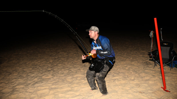 Adam Maddalena catching a bull shark, before tagging and releasing it. 