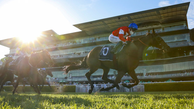 Icebath hits the line under Kerrin McEvoy in the The Invitation.