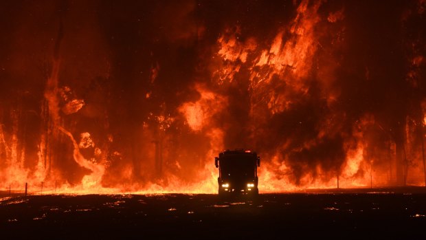 Firefighters overwhelmed by flames at a bushfire in Orangeville, west of Campbelltown.