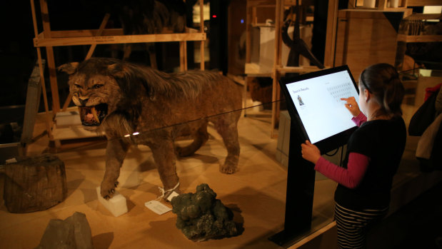 Inside the Museums Discovery Centre, Castle Hill.