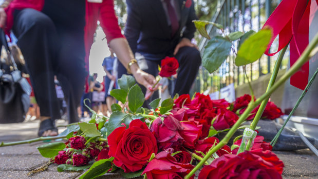 Roses are laid at a Red Rose rally, outside the Queensland Parliament House, honouring women lost to violence.