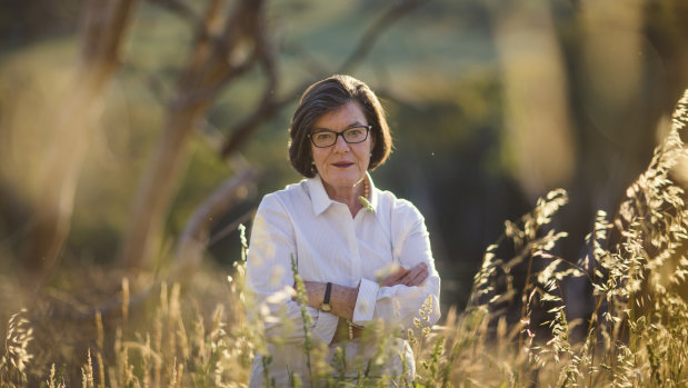 Independent MP Cathy McGowan has long campaigned for a national integrity commission. 