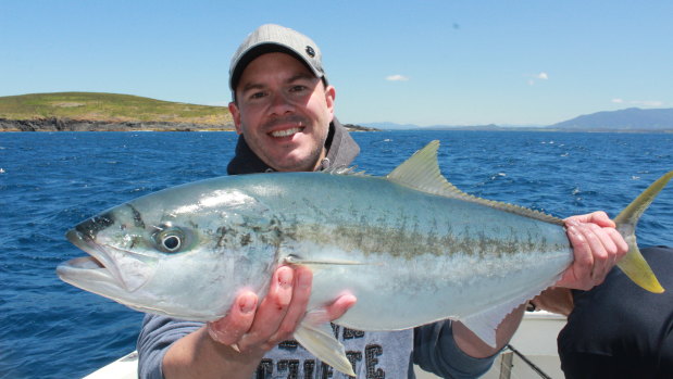 Long live the king! The kingfish have finally returned to Montague Island.