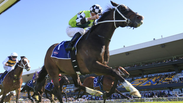 Mister Sea Wolf takes out the Shannon Stakes at Rosehill in September.