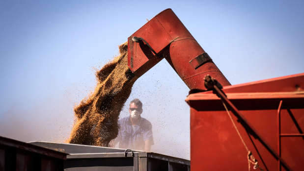 China could soon target imports of Australian wheat, after already turning its attention to barley, wine, cotton and beef, have rattled the market. 