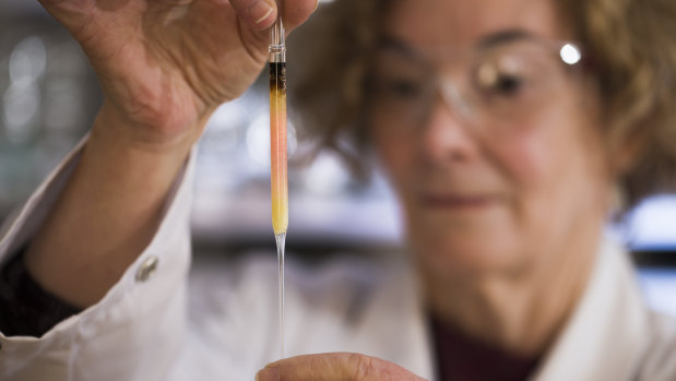 Australian National University biogeochemistry lab manager Janet Hope holds a vial of pink-coloured porphyrins representing the oldest intact pigments in the world.