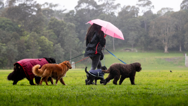 Sydney's weekend is off to a wet start. 