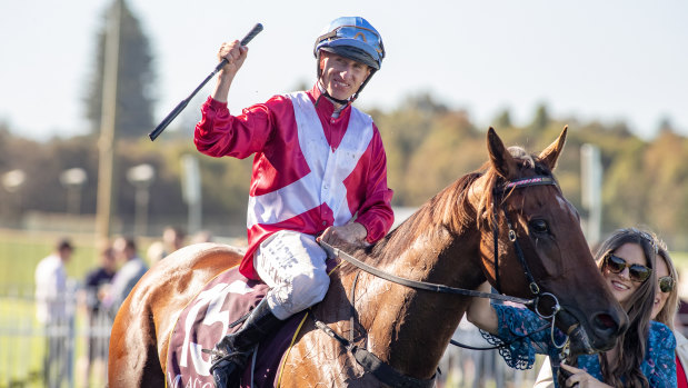 William Pike on Arcadia Queen  after saluting the judges in the Kingston Town Classic.