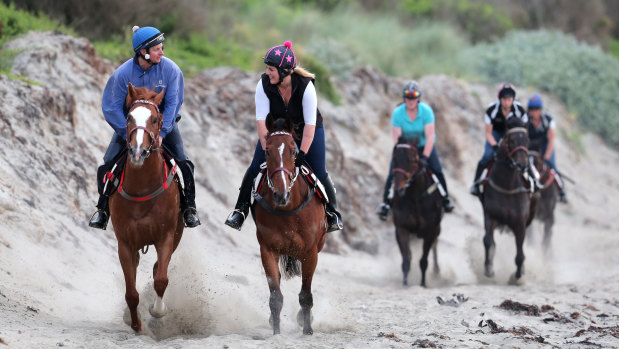 Darren Weir-trained horses work on the Warrnambool foreshore in 2015. 