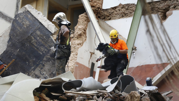 A Chilean rescuer, right, holds a sniffer dog as they search in the rubble of a collapsed building in Beirut after detecting a sign of life one month after the massive port blast.