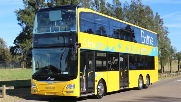 Councils hope the rapid bus links will be similar to the $514 million B-Line bus project to Sydney's northern beaches. 