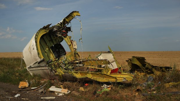 The rear fuselage of flight MH17 at the crash site in Ukraine.