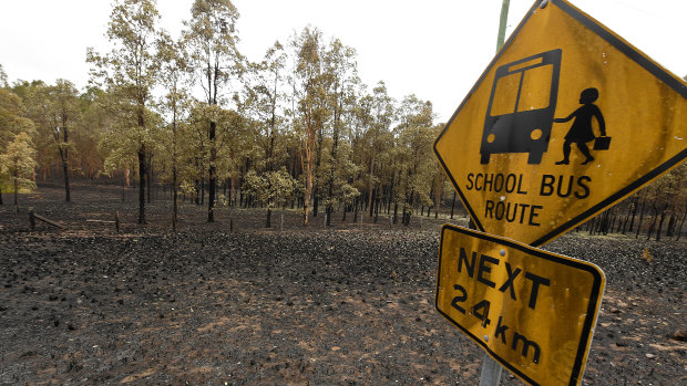 Scorched earth after bushfires near Tabulam in north-eastern NSW on Wednesday.